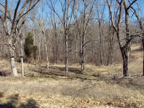 Property photo 7 - 97.5 Acres - Executive Home and Secluded Retreat